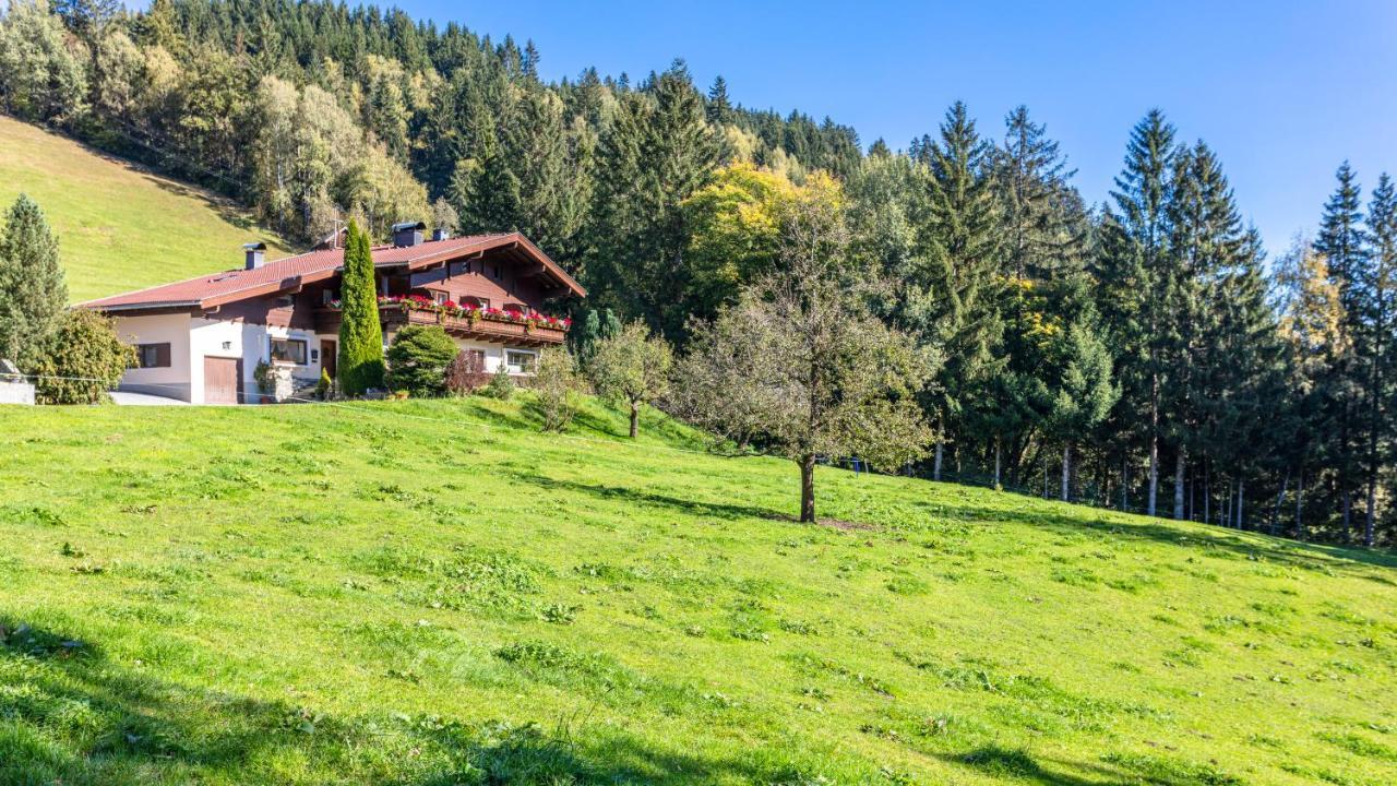 Ferienhaus Berger Mittersill Eksteriør bilde