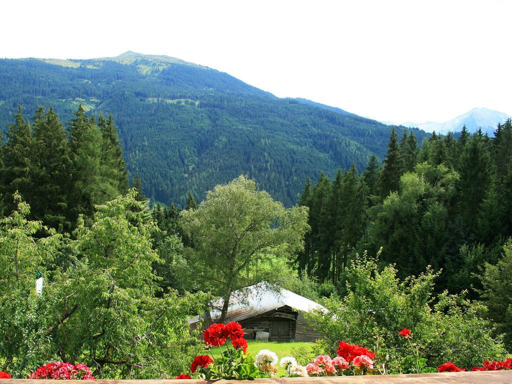 Ferienhaus Berger Mittersill Rom bilde